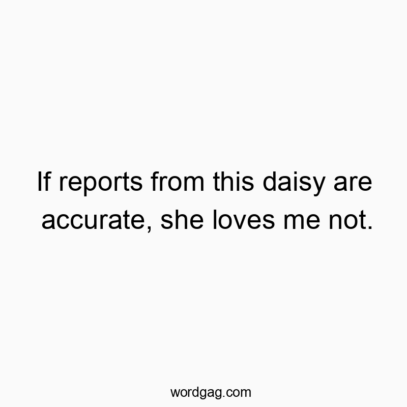 If reports from this daisy are accurate, she loves me not.