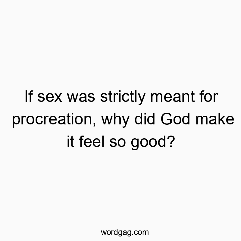If sex was strictly meant for procreation, why did God make it feel so good?