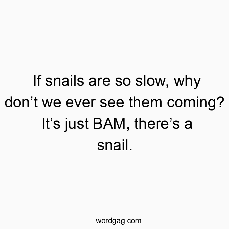 If snails are so slow, why don’t we ever see them coming? It’s just BAM, there’s a snail.