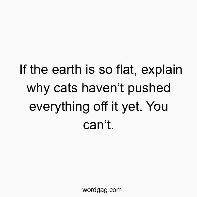If the earth is so flat, explain why cats havenโt pushed everything off it yet. You canโt.