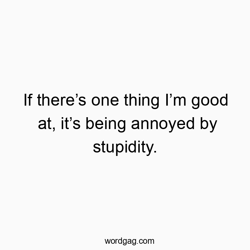 If there’s one thing I’m good at, it’s being annoyed by stupidity.