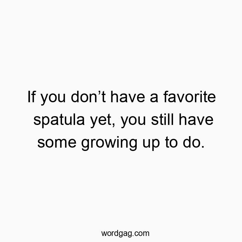 If you don’t have a favorite spatula yet, you still have some growing up to do.