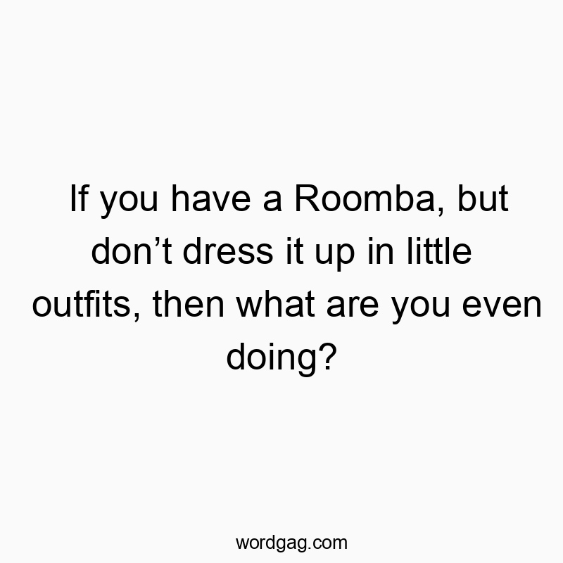 If you have a Roomba, but don’t dress it up in little outfits, then what are you even doing?