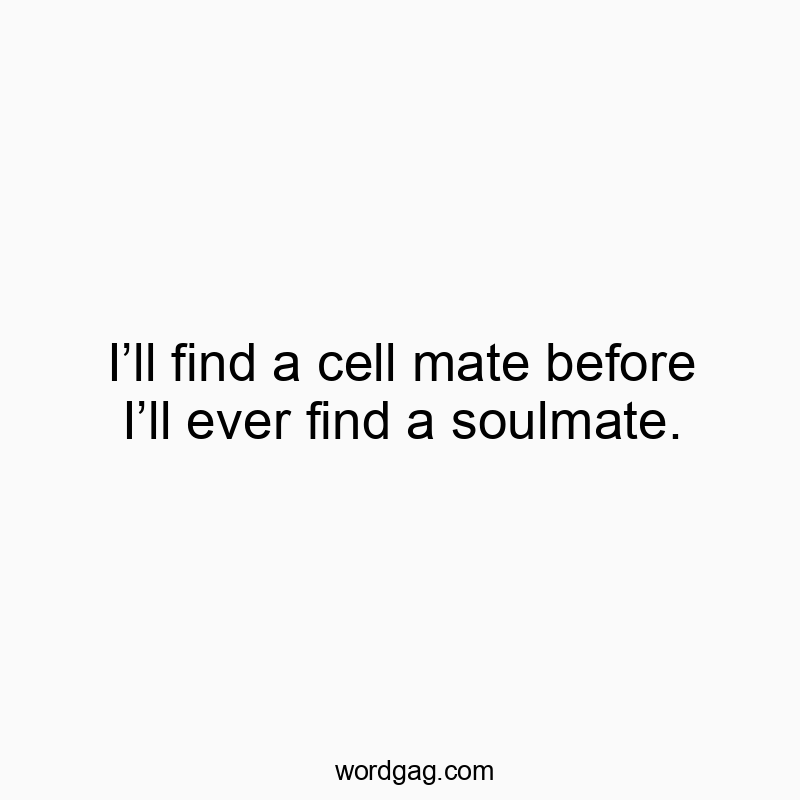 I’ll find a cell mate before I’ll ever find a soulmate.