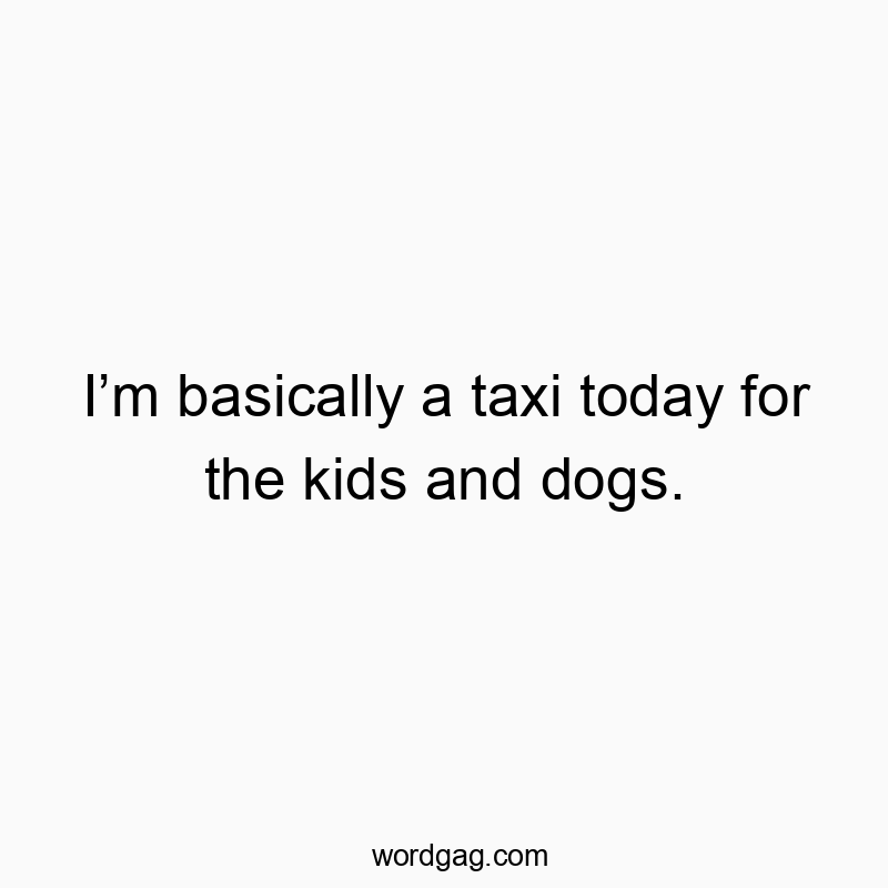 I’m basically a taxi today for the kids and dogs.