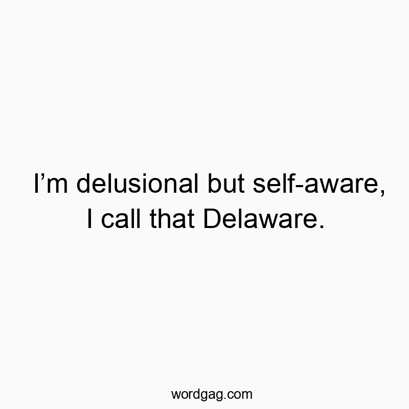 Funny delusional quotes - I’m delusional but self-aware, I call that Delaware.