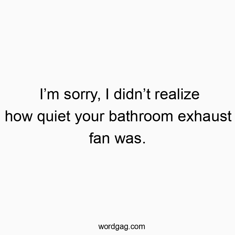 I’m sorry, I didn’t realize how quiet your bathroom exhaust…