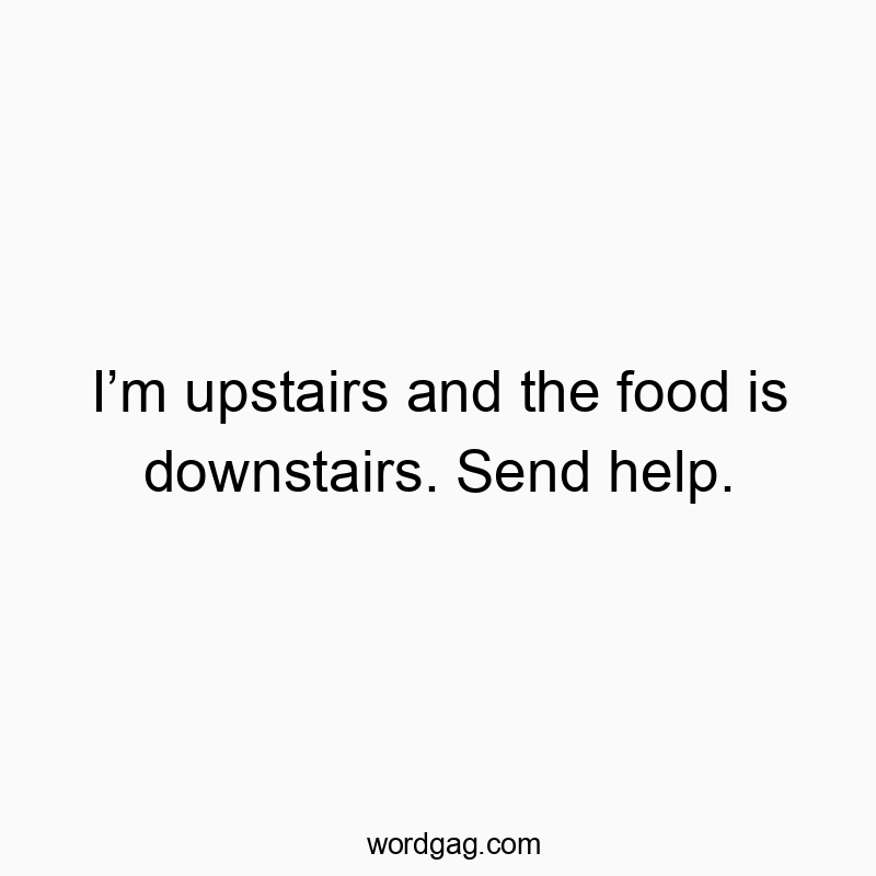 I’m upstairs and the food is downstairs. Send help.