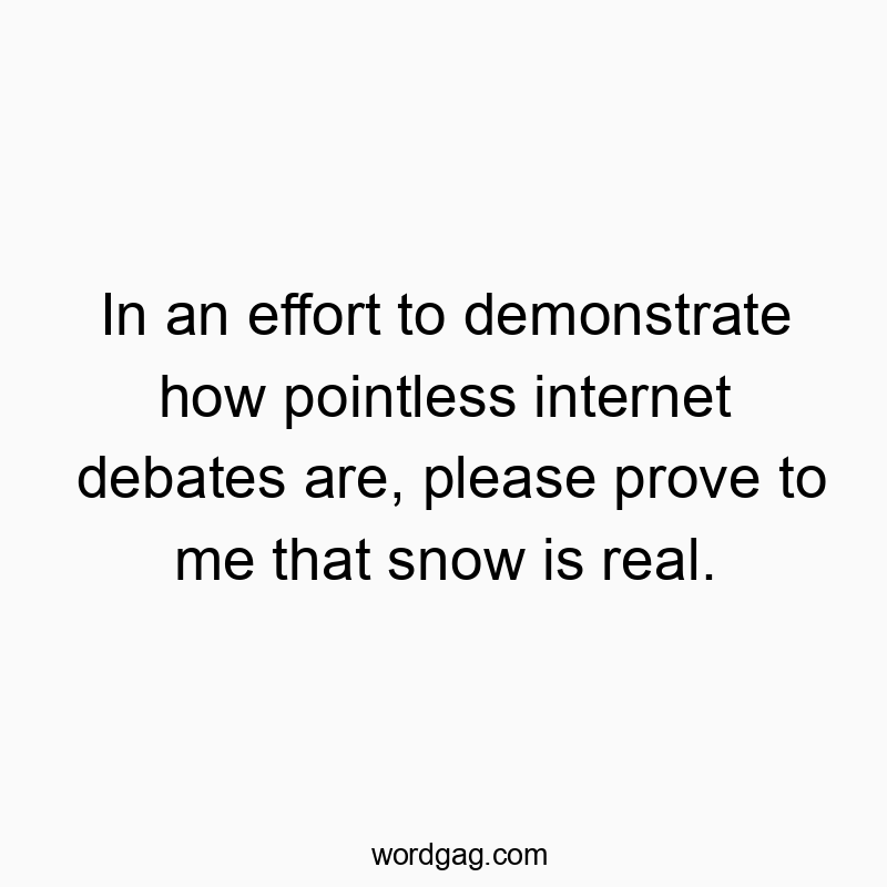 In an effort to demonstrate how pointless internet debates are, please prove to me that snow is real.