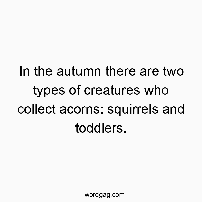 In the autumn there are two types of creatures who collect acorns: squirrels and toddlers.