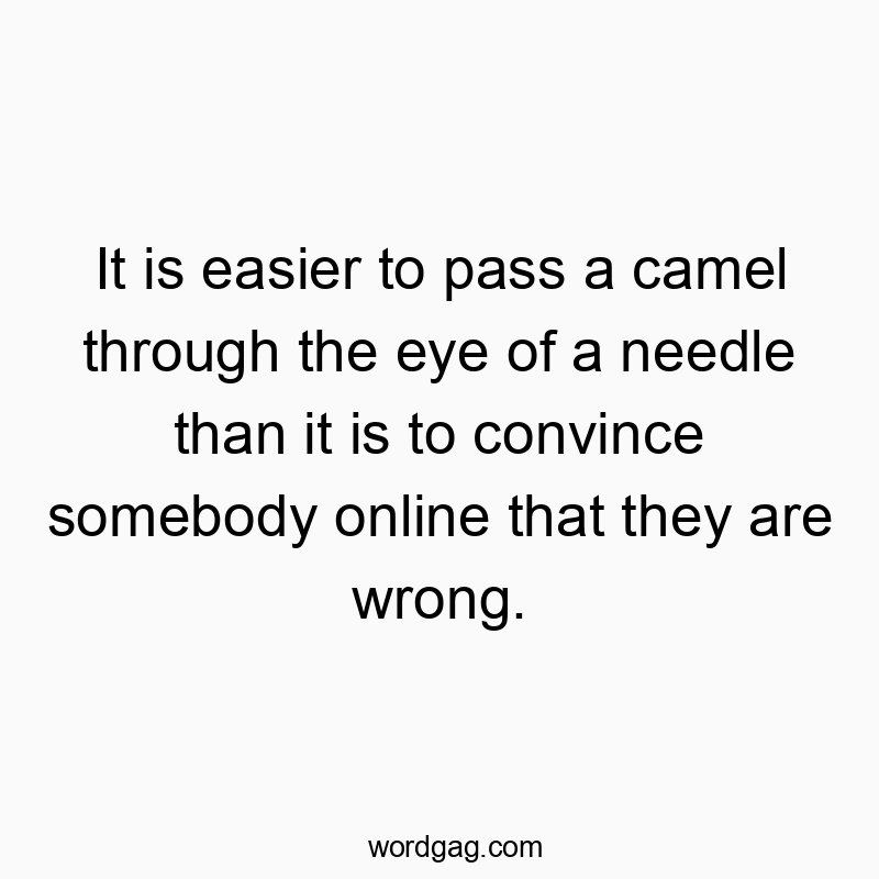 It is easier to pass a camel through the eye of a needle than it is to convince somebody online that they are wrong.