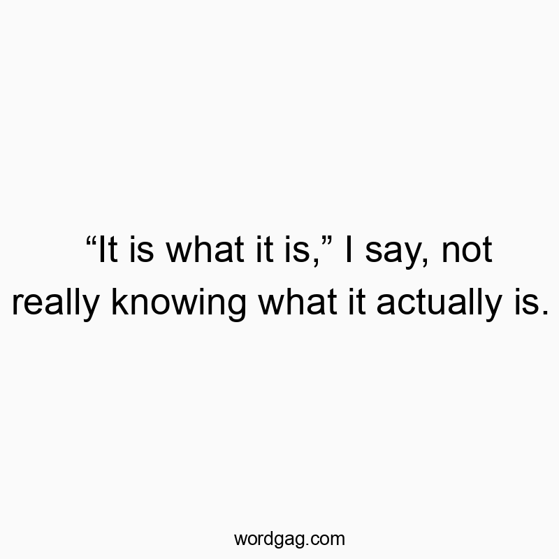“It is what it is,” I say, not really knowing what it actually is.