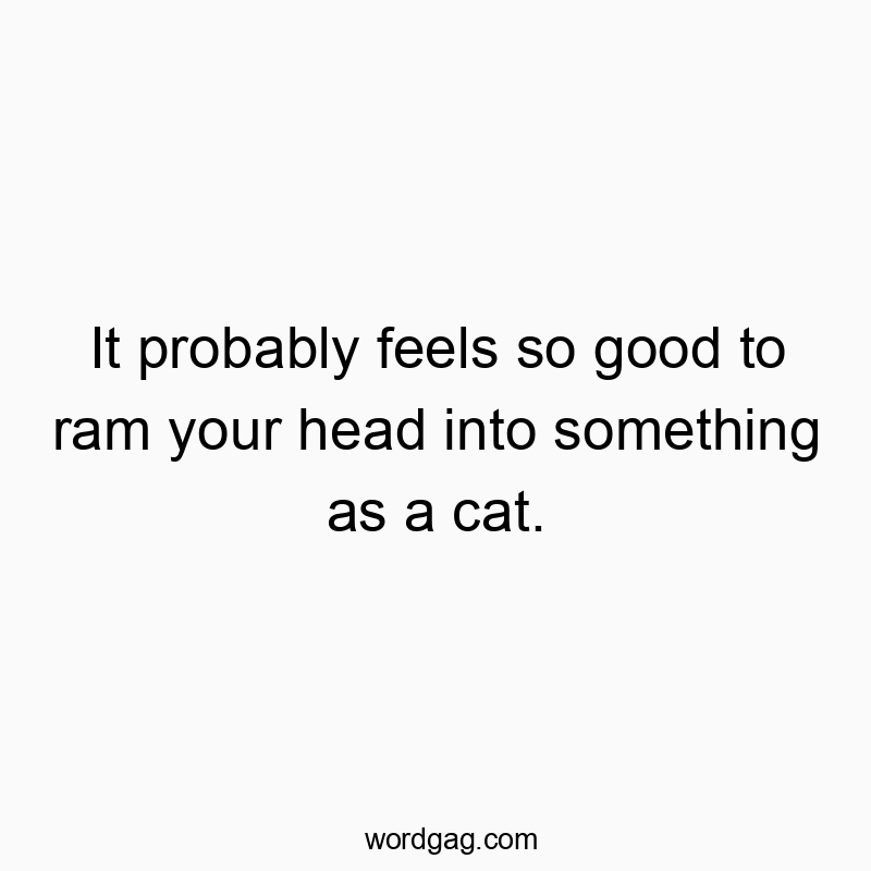 Funny head quotes - It probably feels so good to ram your head into something as a cat.