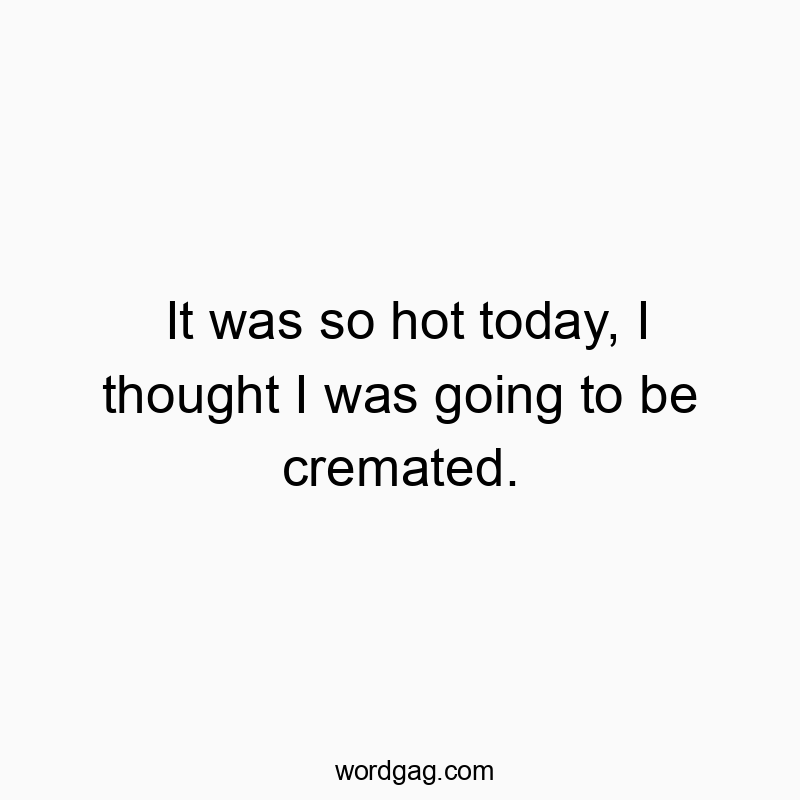 It was so hot today, I thought I was going to be cremated.