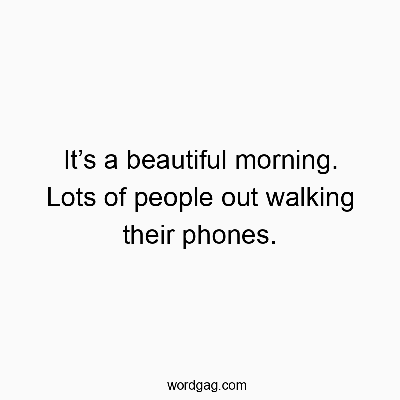 Itβs a beautiful morning. Lots of people out walking their phones.