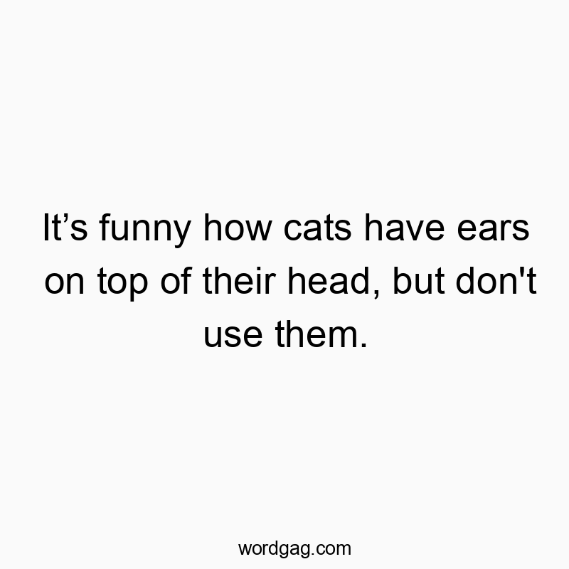 Itโs funny how cats have ears on top of their head, but don’t use them.