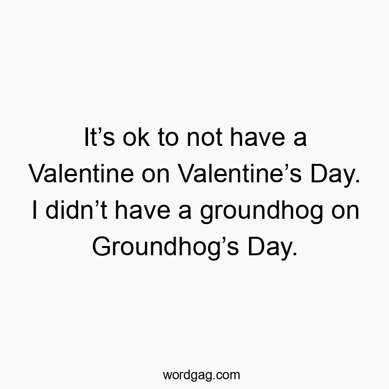 541 Funny day quotes - It’s ok to not have a Valentine on Valentine’s Day. I didn’…