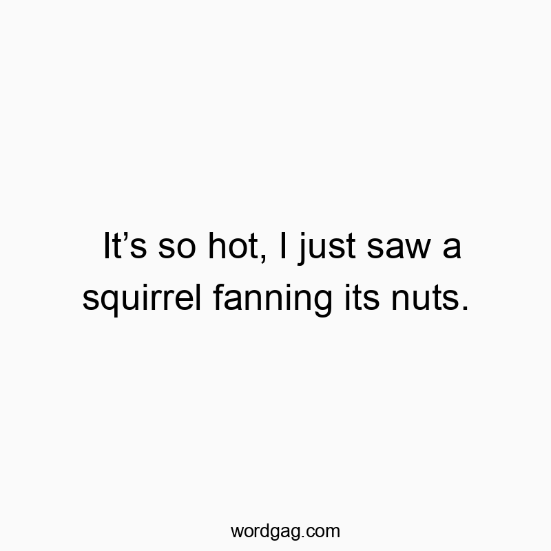 It’s so hot, I just saw a squirrel fanning its nuts.
