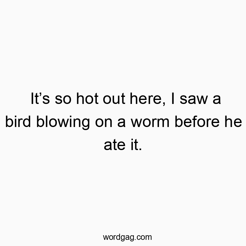 It’s so hot out here, I saw a bird blowing on a worm before he ate it.