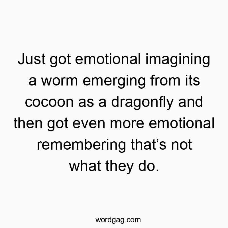 Just got emotional imagining a worm emerging from its cocoon as a dragonfly and then got even more emotional remembering that’s not what they do.