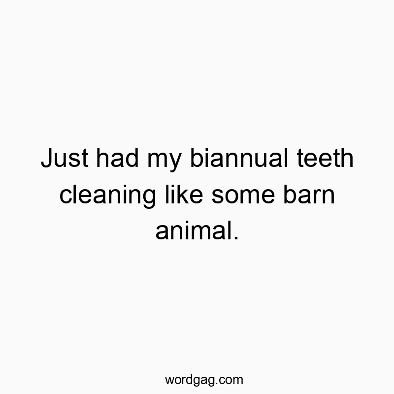 Funny animal quotes - Just had my biannual teeth cleaning like some barn animal.