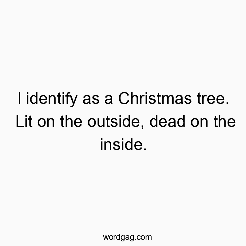 l identify as a Christmas tree. Lit on the outside, dead on the inside.
