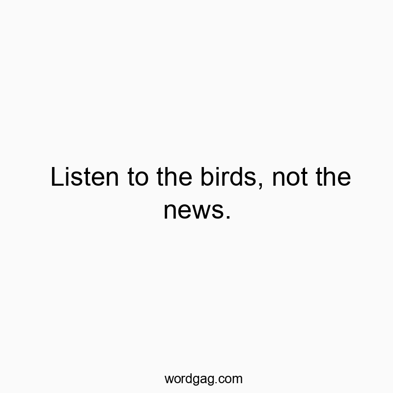 Listen to the birds, not the news.