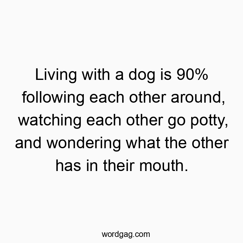 Living with a dog is 90% following each other around, watching each other go potty, and wondering what the other has in their mouth.