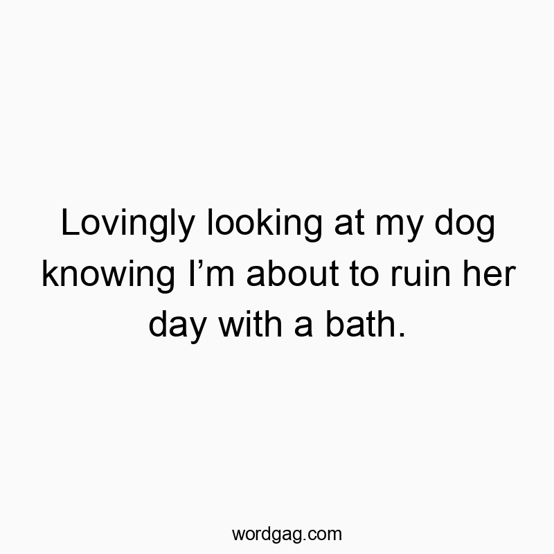 Lovingly looking at my dog knowing Iβm about to ruin her day with a bath.