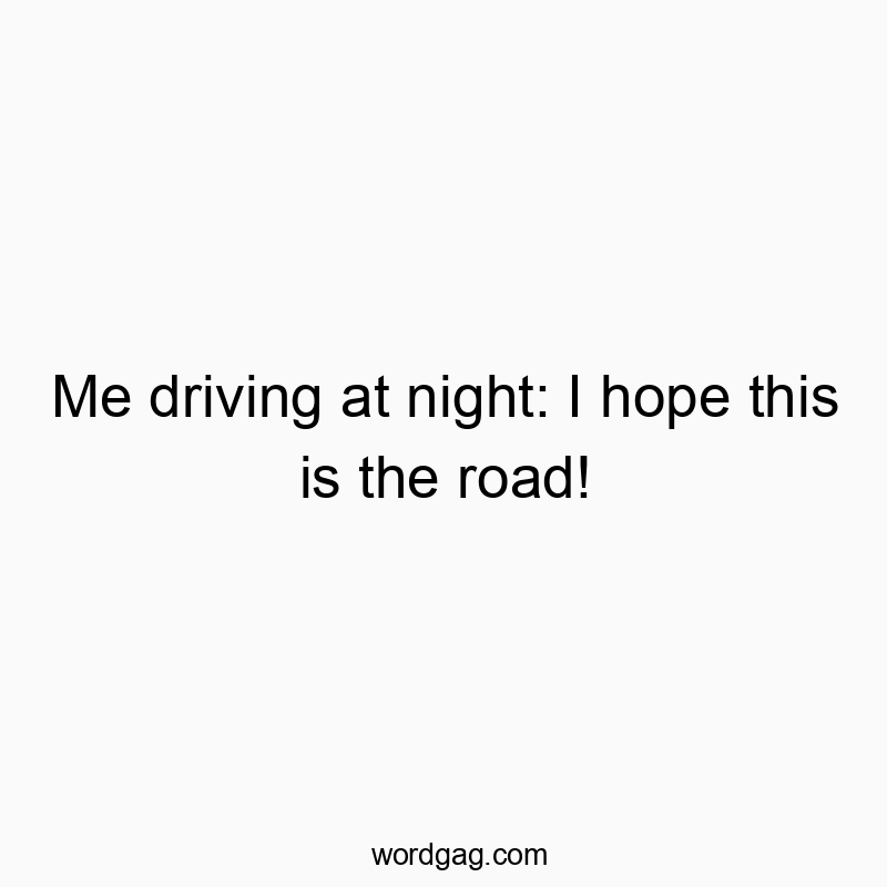 Me driving at night: I hope this is the road!