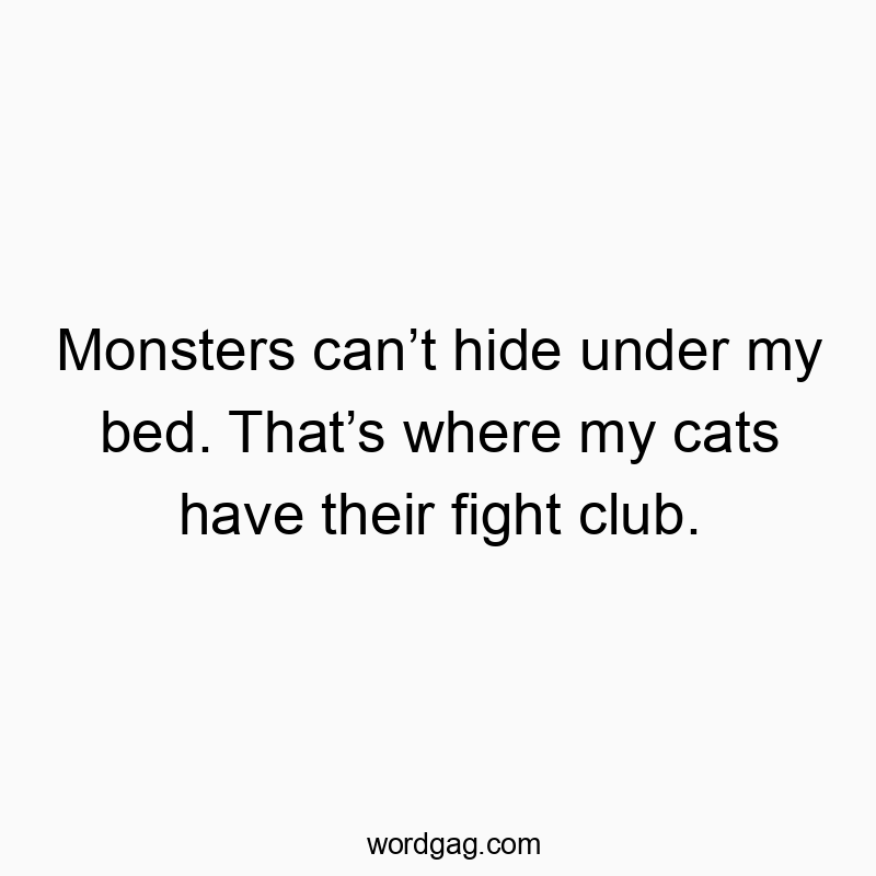 22 Funny hide quotes - Monsters canโt hide under my bed. Thatโs where my cats have their fight club.