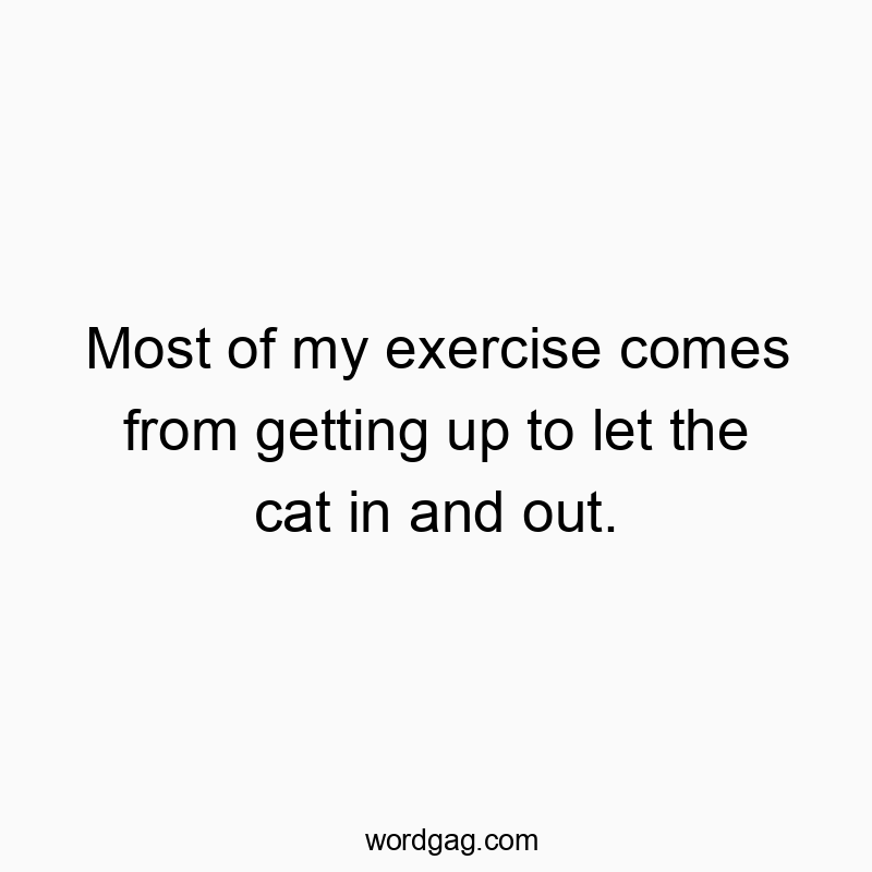 Most of my exercise comes from getting up to let the cat in and out.
