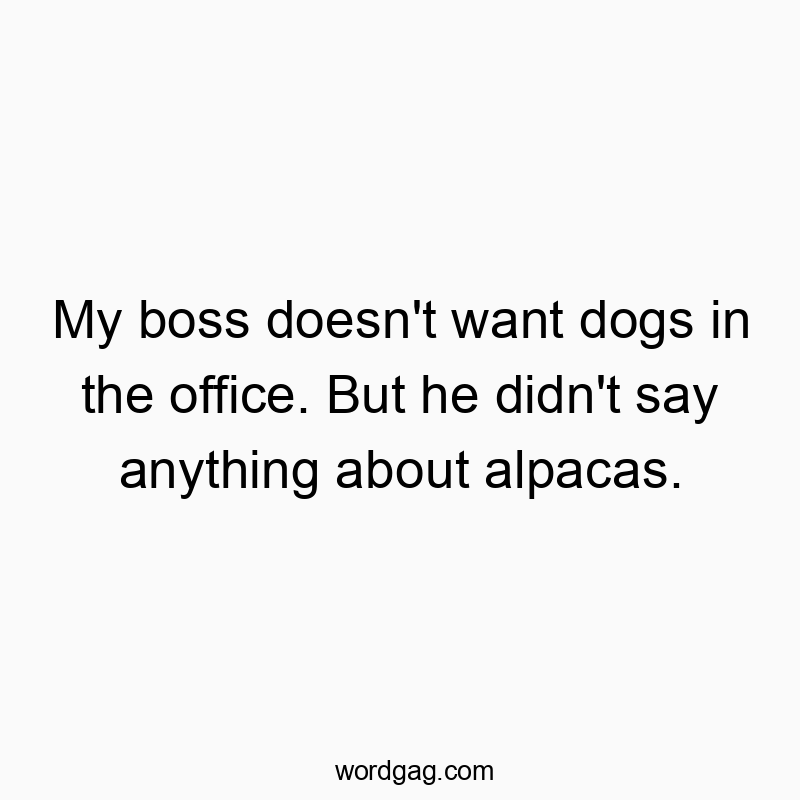 Funny pet policy quotes - My boss doesn’t want dogs in the office. But he didn’t say anything about alpacas.