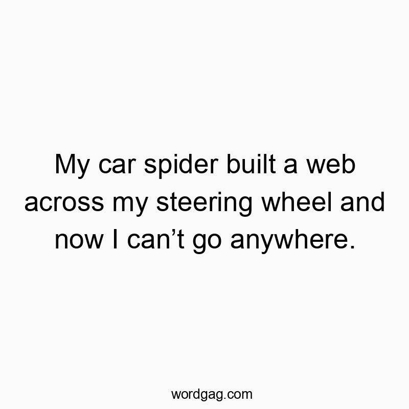 My car spider built a web across my steering wheel and now I can’t go anywhere. My car spider built a web across my steering wheel and now I can’t go anywhere.