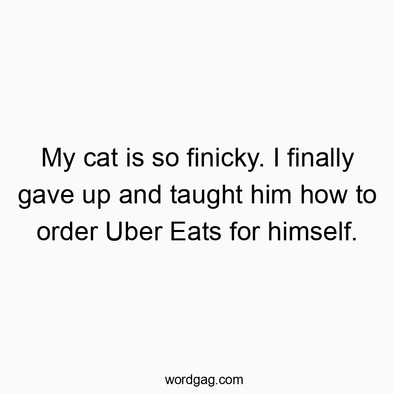My cat is so finicky. I finally gave up and taught him how to order Uber Eats for himself.