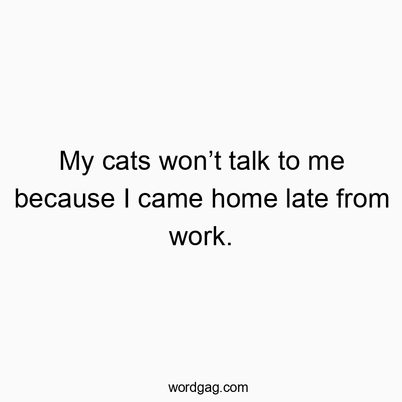 Funny cats quotes - My cats won’t talk to me because I came home late from work.
