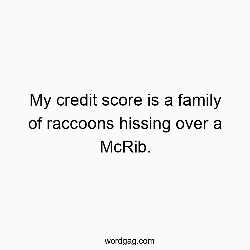 Funny credit score quotes - My credit score is a family of raccoons hissing over a McRib.