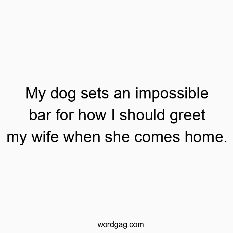 My dog sets an impossible bar for how I should greet my wife when she comes home.