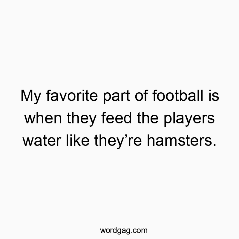 Funny sport humor quotes - My favorite part of football is when they feed the players water like they’re hamsters.