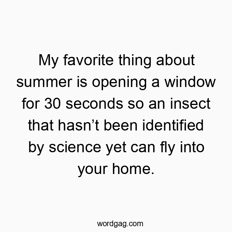 My favorite thing about summer is opening a window for 30 seconds so an insect that hasn’t been identified by science yet can fly into your home.
