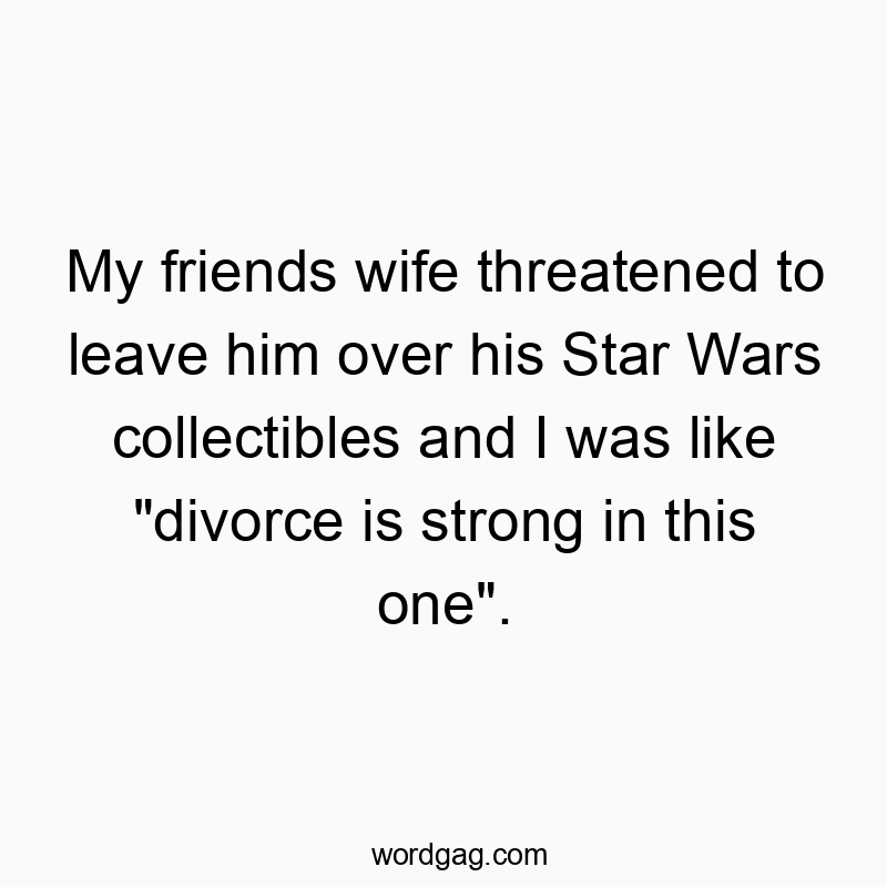 My friends wife threatened to leave him over his Star Wars collectibles and I was like “divorce is strong in this one”.
