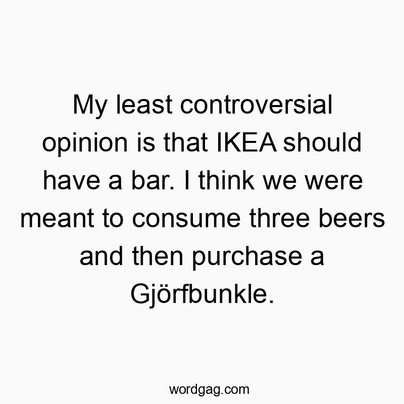 My least controversial opinion is that IKEA should have a bar. I think we were meant to consume three beers and then purchase a Gjรถrfbunkle.