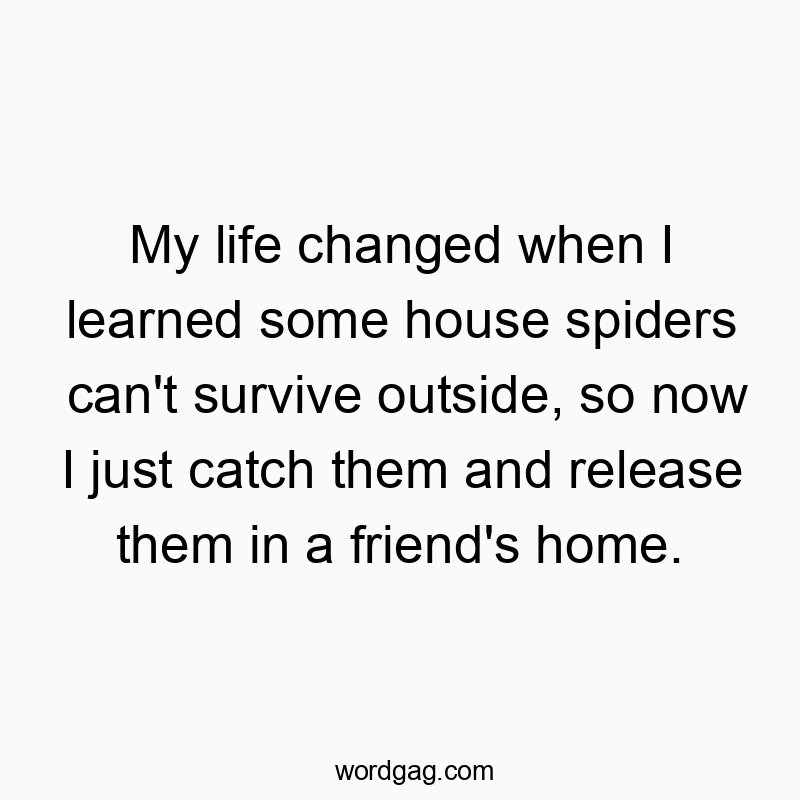 My life changed when I learned some house spiders can’t survive outside, so now I just catch them and release them in a friend’s home.