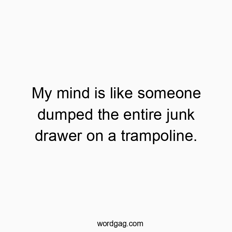 My mind is like someone dumped the entire junk drawer on a…