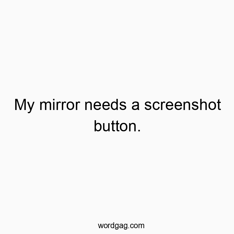 My mirror needs a screenshot button.