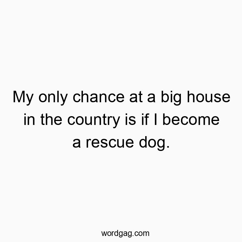My only chance at a big house in the country is if I become a rescue dog.