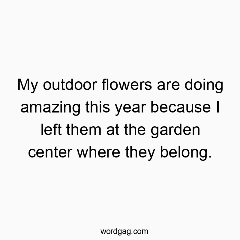 My outdoor flowers are doing amazing this year because I left them at the garden center where they belong.