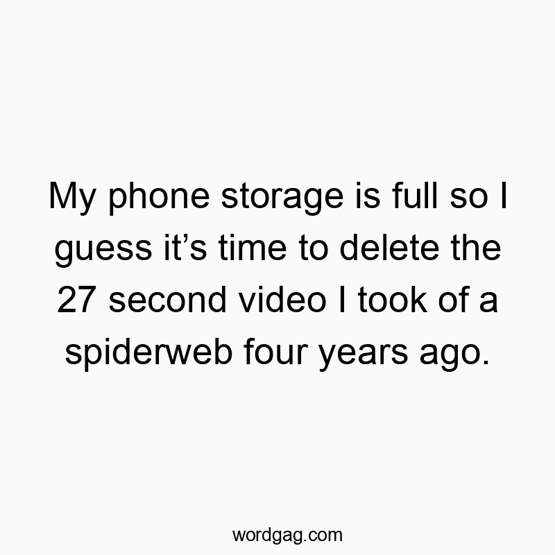 My phone storage is full so I guess it’s time to delete the 27 second video I took of a spiderweb four years ago.