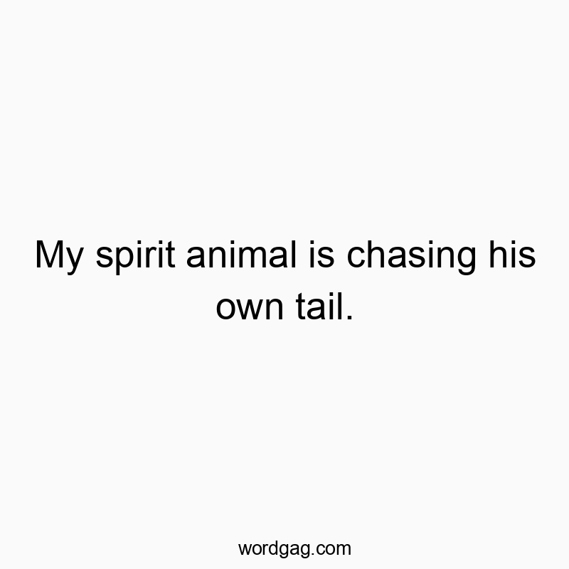 181 Funny animal quotes - My spirit animal is chasing his own tail.