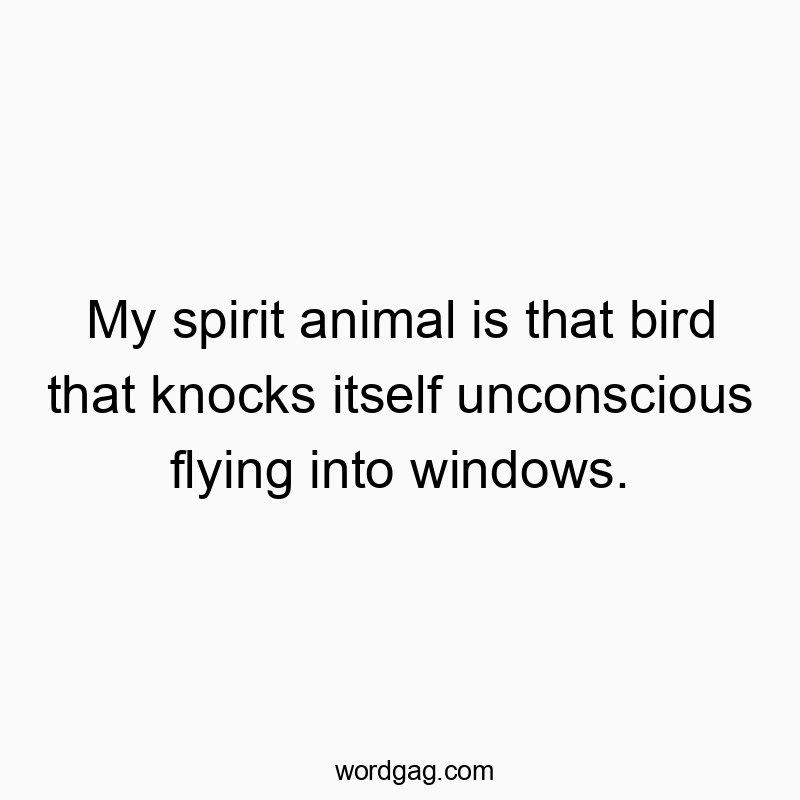 My spirit animal is that bird that knocks itself unconscious flying into windows.